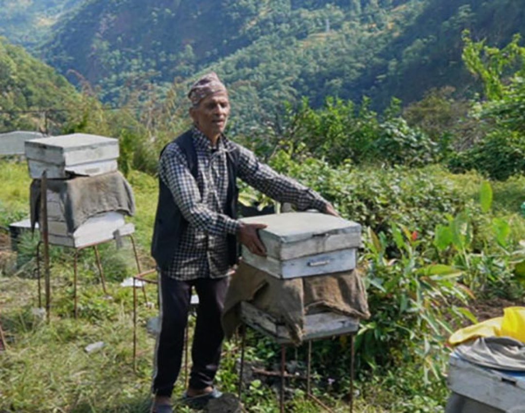 mahuri-palan2025-11-05-02-11-22