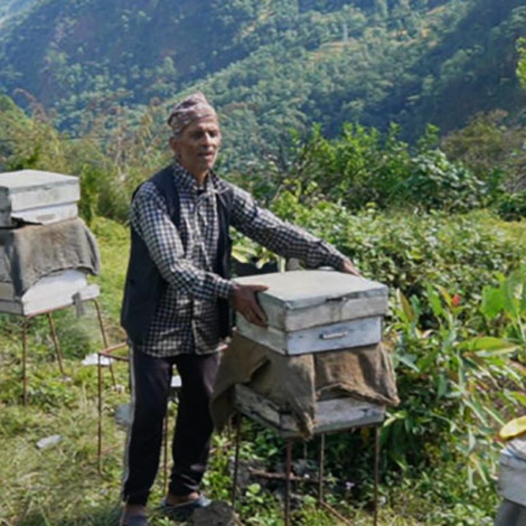 mahuri-palan2025-11-05-02-11-22